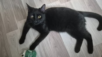 Zbiórka Potrzebujemy Waszego wsparcia - miniaturka zdjęcia