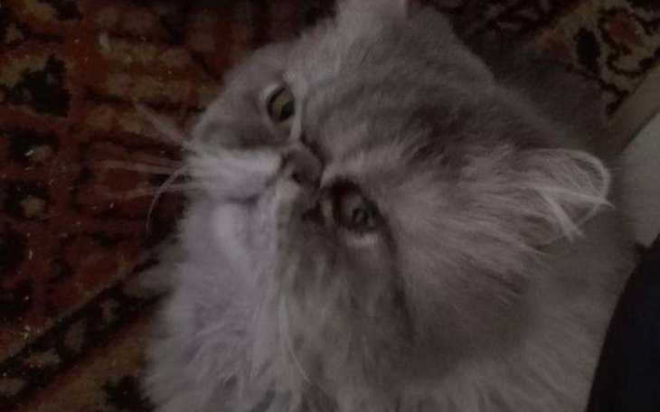 Zbiórka Kobieta skarb potrzebuje pomocy! - zdjęcie główne