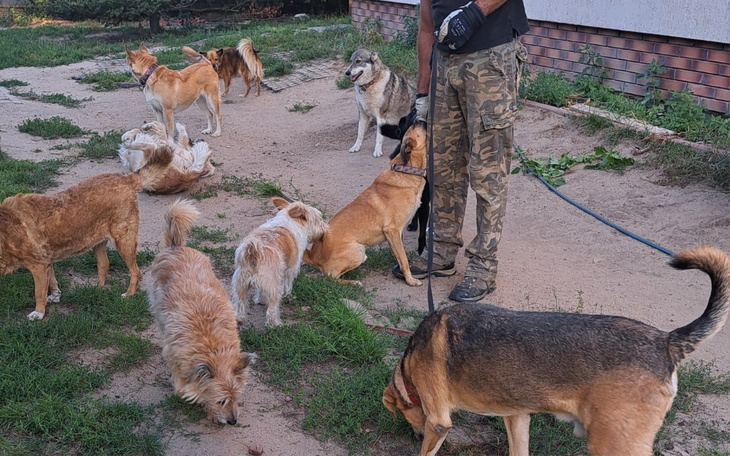 Zbiórka Nakarmić głodne stado - zdjęcie główne