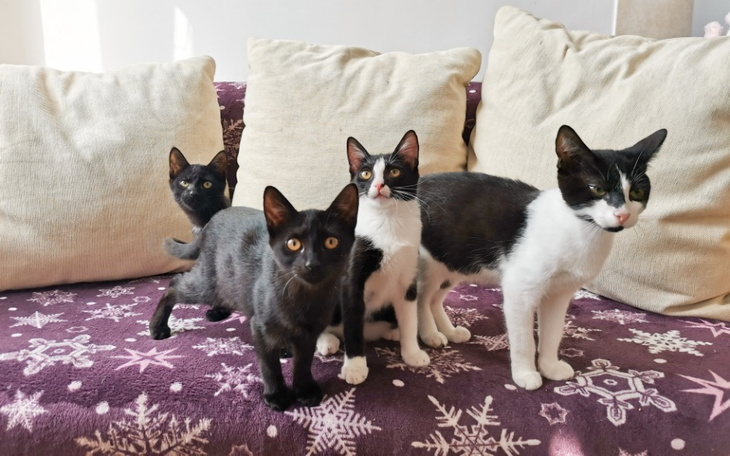 Zbiórka Aby dalej prowadzić DT - zdjęcie główne