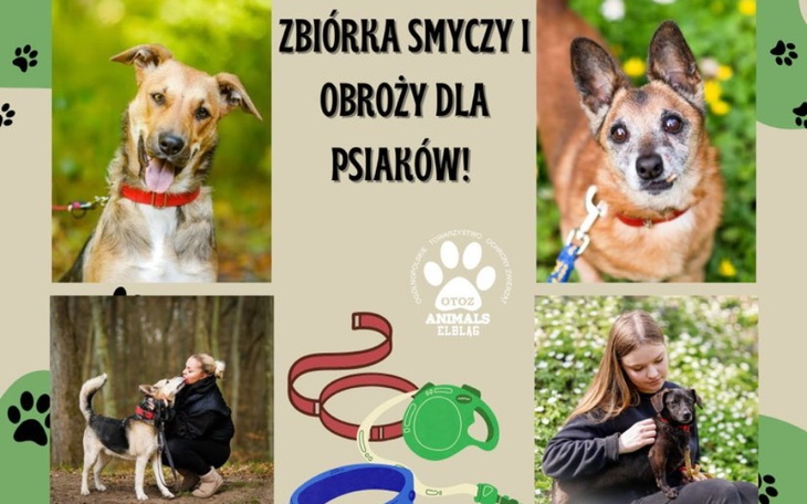 Plakat z informacją o zbiórce smyczy i obroży dla psów.