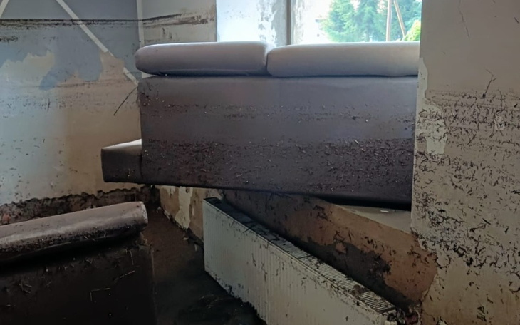 Pomoc dla zwierząt w potrzebie.