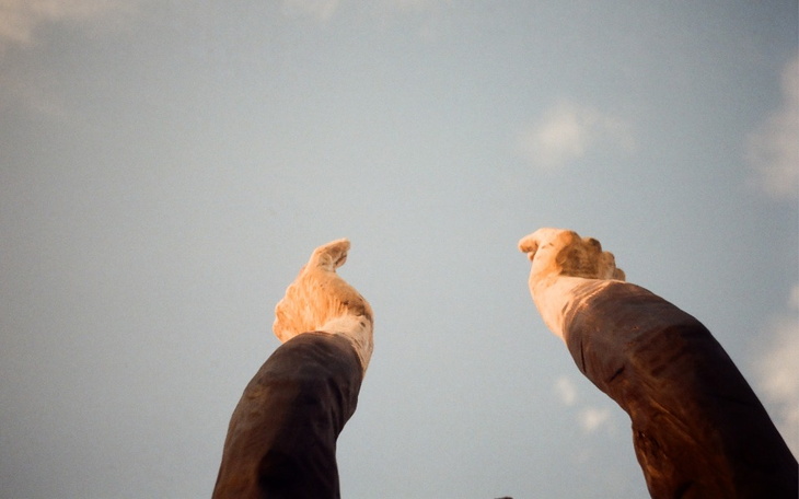 Zbiórka Pierwsza pomoc Białorusinom SOS - zdjęcie główne