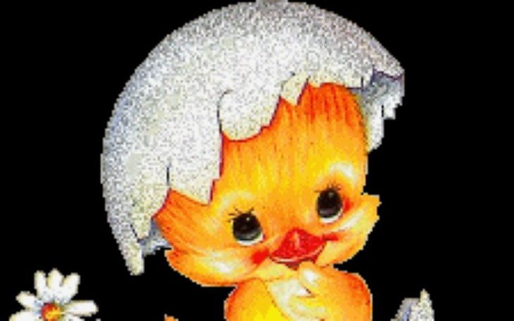 Zbiórka Na marzonka - zdjęcie główne