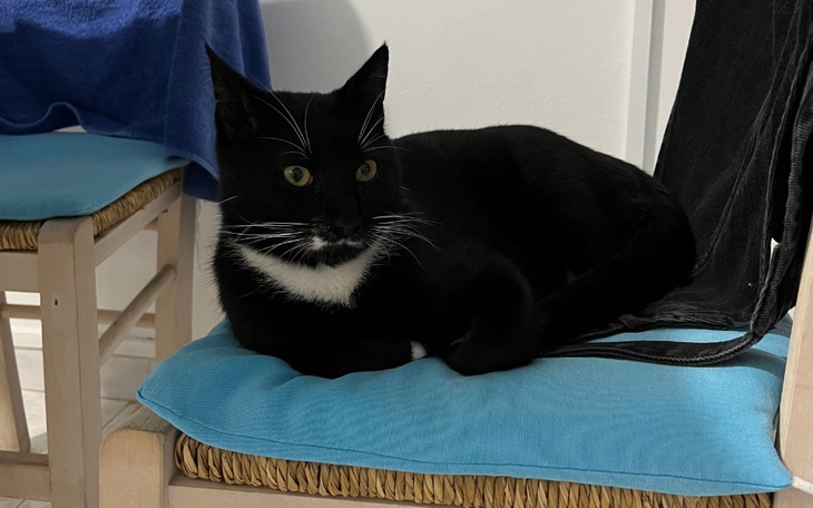 Zbiórka Sprowadź Boomera do domu - zdjęcie główne