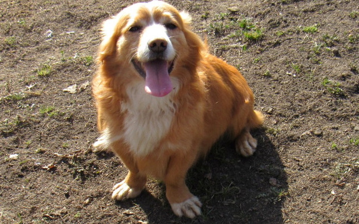 Zbiórka Oszukany Jogi prosi o pomoc! - zdjęcie główne