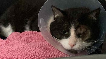 Zbiórka Pomóż przetrwać zimę - miniaturka zdjęcia