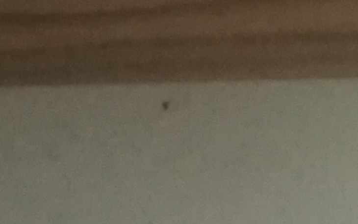 Zbiórka Cukiernia marzeń - zdjęcie główne