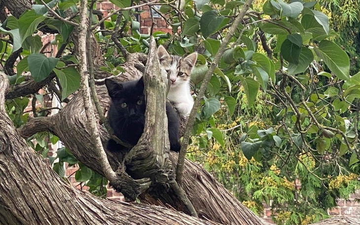 Zbiórka Pomóż mi zapobiec bezdomności - zdjęcie główne