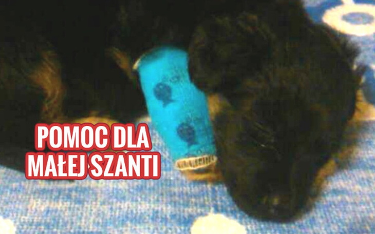 Zbiórka Grosik dla Szanti. - zdjęcie główne