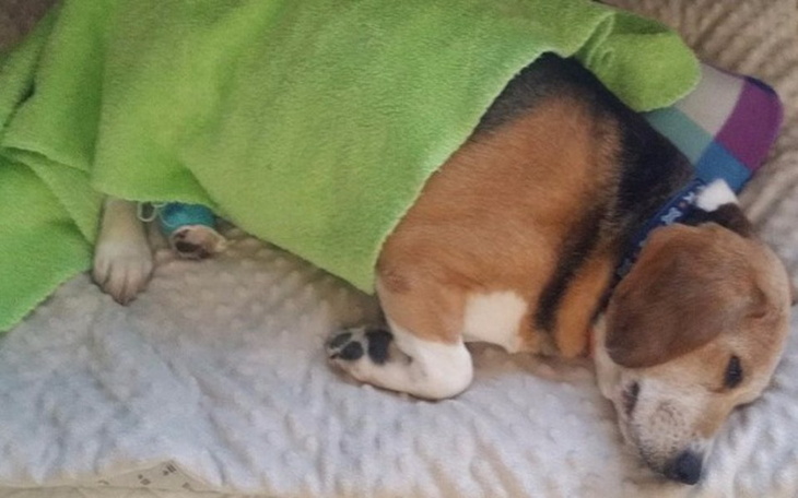 Zbiórka Nadal walczymy o Barbie - zdjęcie główne