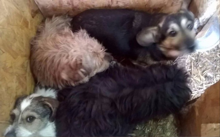 Zbiórka Wyrwane z piekła - zdjęcie główne