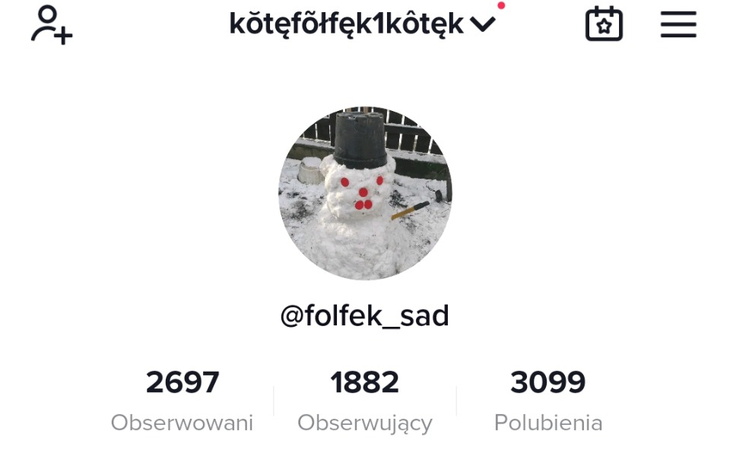 Zbiórka Na rozwijanie tiktoka - zdjęcie główne