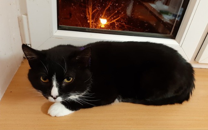 Zbiórka Leczenie Tadzia - zdjęcie główne