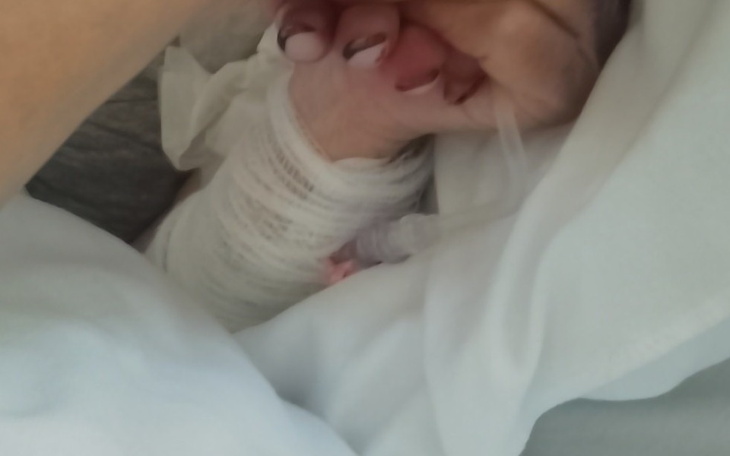 Zbiórka Pogrzeb samotnej babci - zdjęcie główne