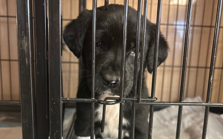 Zbiórka Zaczynamy walkę o życie - zdjęcie główne