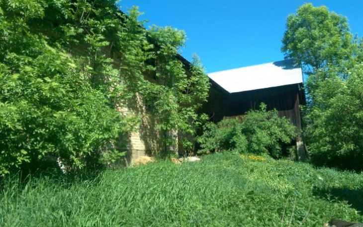 Zbiórka Stworzymy raj dla skrzywdzonych - zdjęcie główne