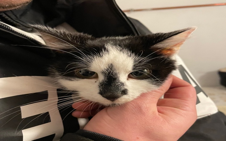 Zbiórka Życie Asuny - zdjęcie główne