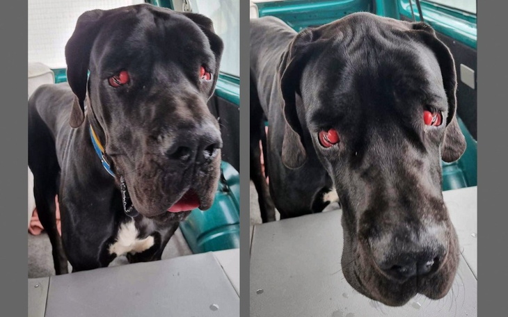 Zbiórka Czy te oczy mogą kłamać... - zdjęcie główne