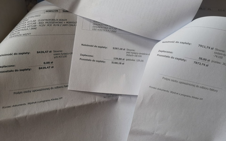 Zbiórka Na część zaległości w lecznicy - zdjęcie główne