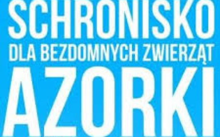 Zbiórka Pomoc dla zwierzaków schroniska - zdjęcie główne
