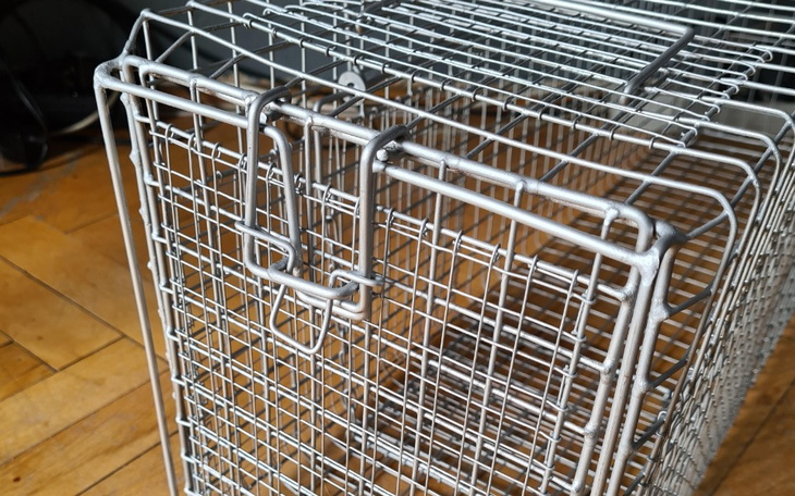 Zbiórka Potrzebujemy klatki-łapki - zdjęcie główne