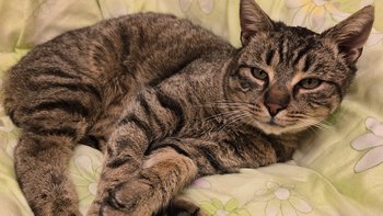 Zbiórka Profilaktyka Chmurka z biura - miniaturka zdjęcia