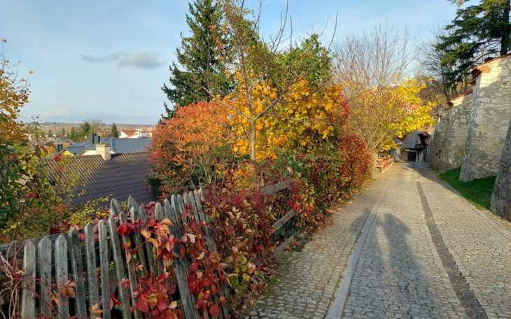 Zbiórka Ślub Ani i Daniela - zdjęcie główne