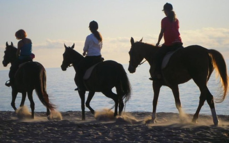 Zbiórka Na dobry obóz konny - zdjęcie główne