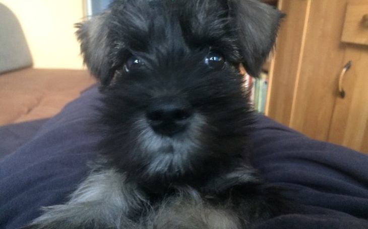 Zbiórka Pomóżcie mi nabrać powietrza - zdjęcie główne