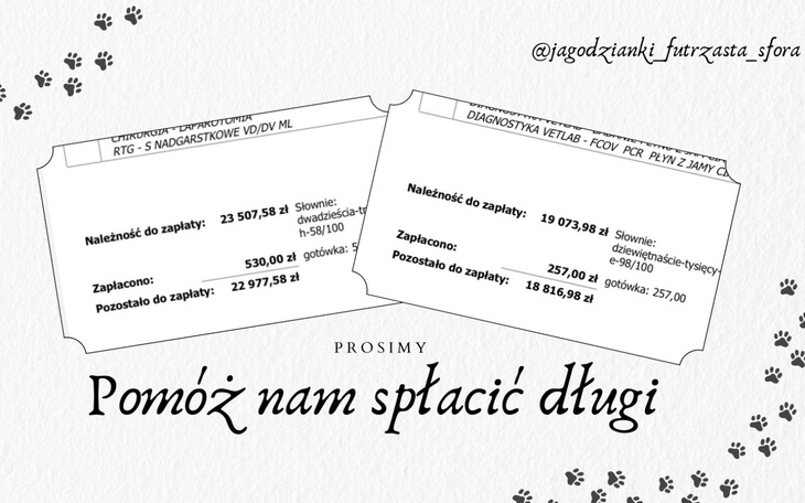 Dokumenty z informacjami o zadłużeniu.