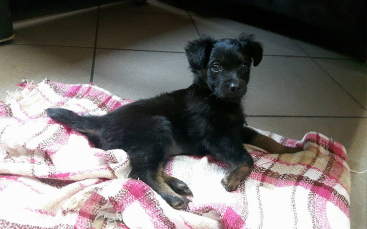 Zbiórka Fiona - dziecko ulicy - zdjęcie główne