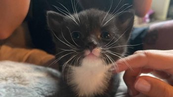 Zbiórka Pomóż nam opłacić leczenie - miniaturka zdjęcia