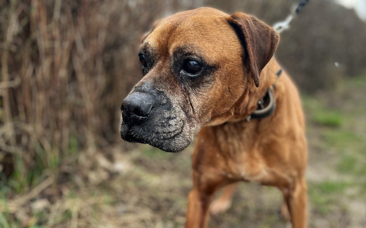 Zbiórka Wincent - wyrwany z niewoli - zdjęcie główne