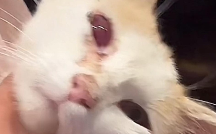 Zbiórka Nagroda za wskazanie mordercy - zdjęcie główne