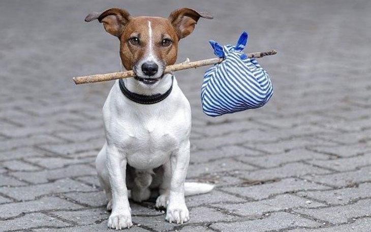 Zbiórka Świąteczna zbiórka Kuby - zdjęcie główne