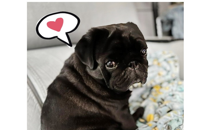 Zbiórka Leczenie i rehabilitacja Emka - zdjęcie główne