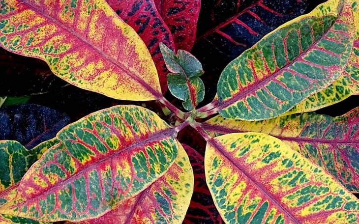 Zbiórka Zbiorka na marzenia - zdjęcie główne