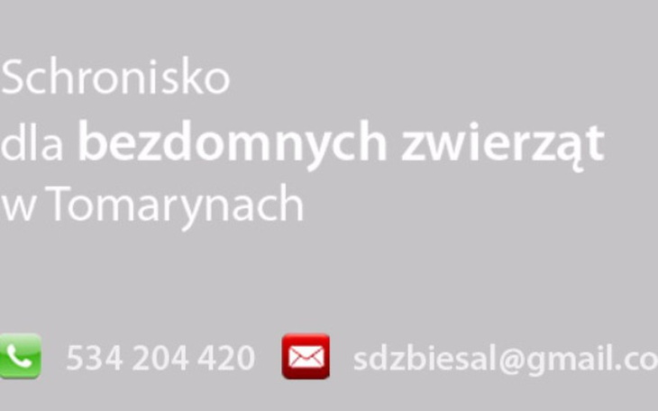 Zbiórka Dla bezdomnych zwierząt. - zdjęcie główne
