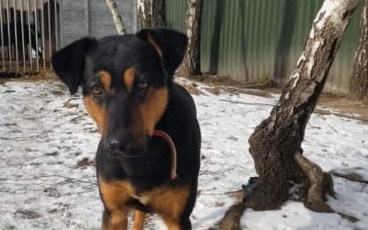 Zbiórka Retkiński wyrzutek - zdjęcie główne