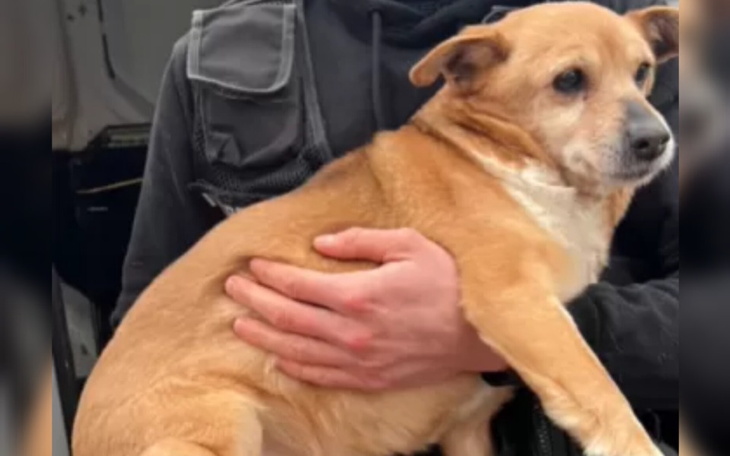 Zbiórka Na pomoc Soni - zdjęcie główne