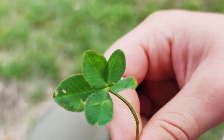 Zbiórka Zbieramy na własne M - zdjęcie główne
