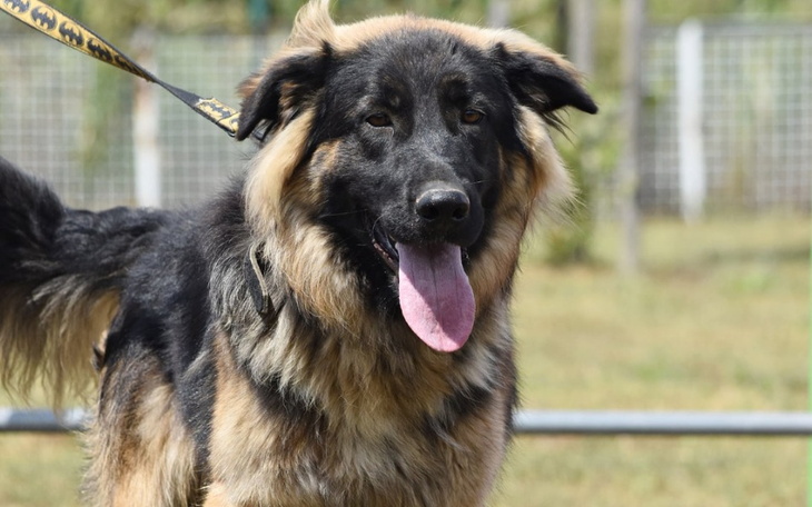 Zbiórka Zbieramy na DJ - zdjęcie główne