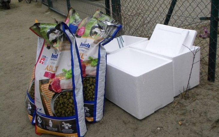 Zbiórka Świąteczna zbiórka dla zwierząt. - zdjęcie główne