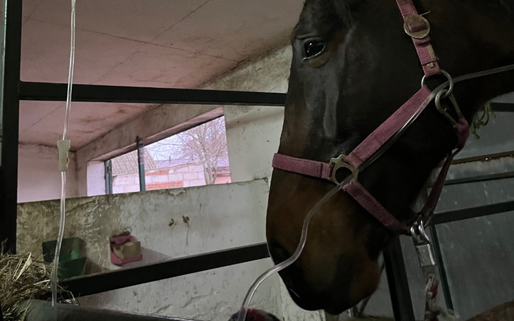 Zbiórka Walczymy o Komixa - zdjęcie główne