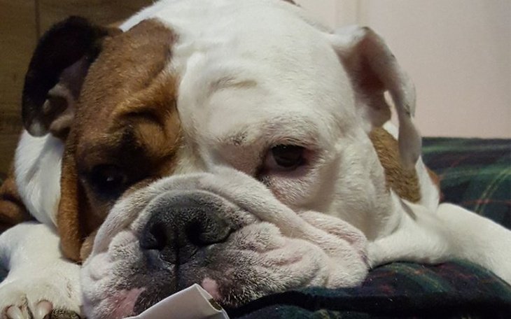 Zbiórka Tak nie wiele potrzeba - zdjęcie główne