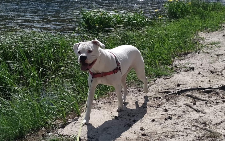 Zbiórka Pomoc dla Bezuni - zdjęcie główne