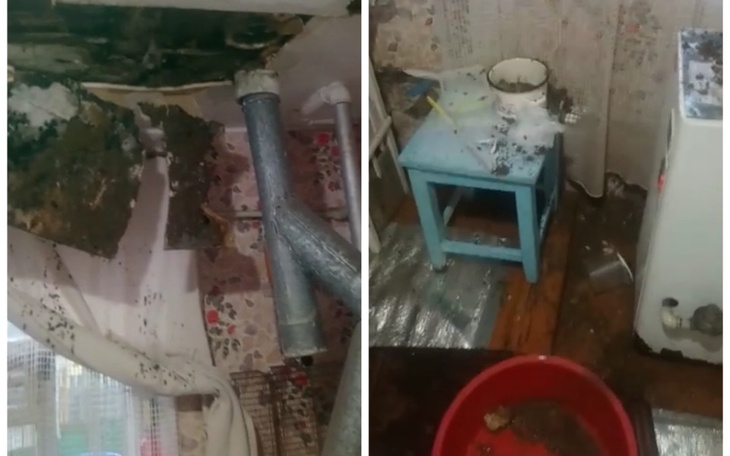 Zbiórka Wyremontować mieszkanie naUkrai - zdjęcie główne