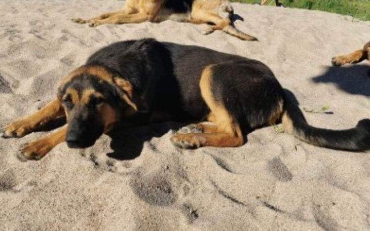 Zbiórka W drodze po nowe życie PILNE - zdjęcie główne