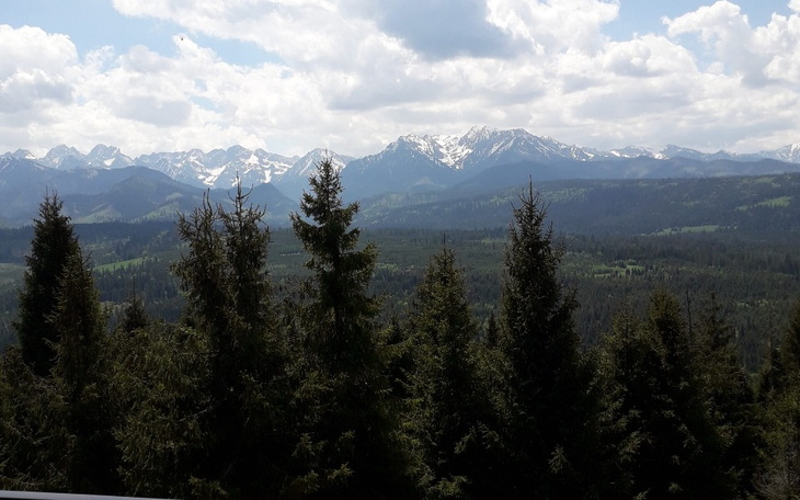 Zbiórka Na lepsze jutro dla moich dzieci - zdjęcie główne